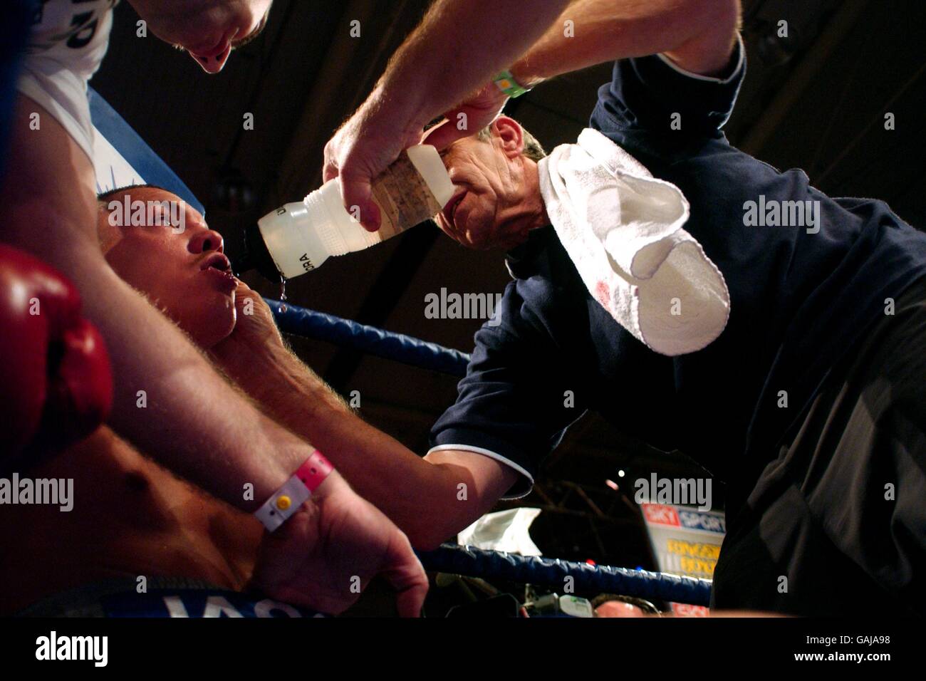 Boxing Harvey Hadden Stadium Stock Photo Alamy