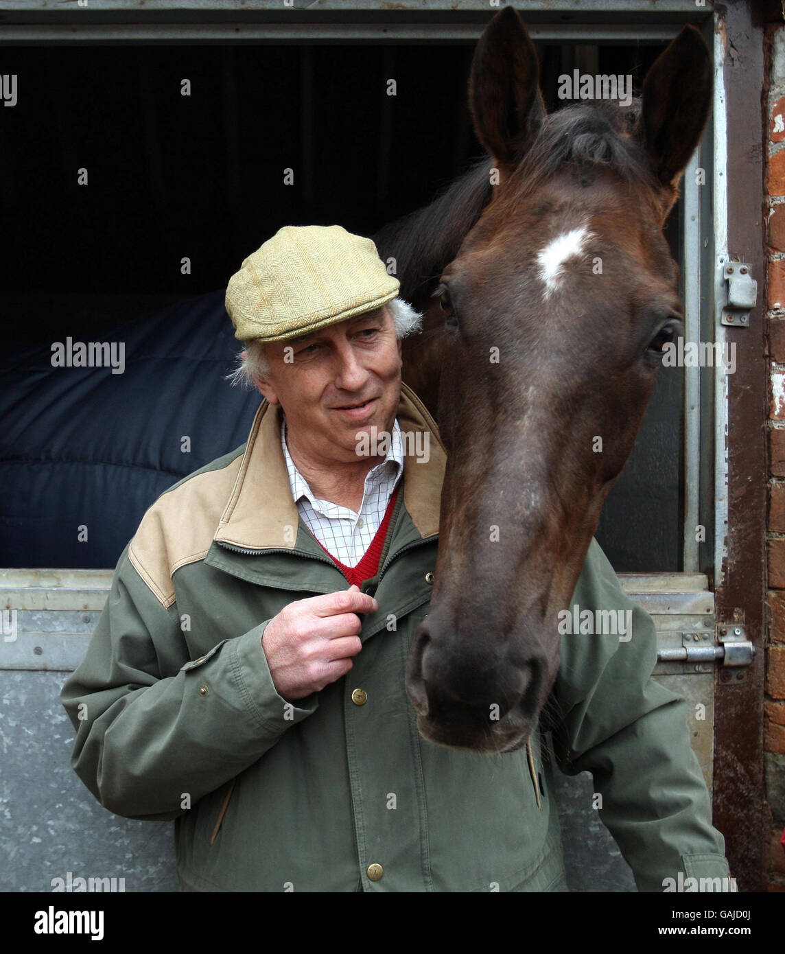 Horse Racing - Visit to Paul Nicholls Stables - Ditcheat Stock Photo
