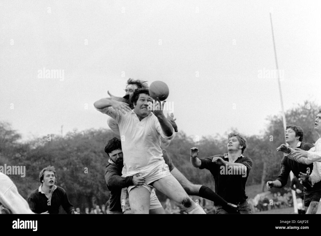 Stanley's XV's Barry Nelmes (c) juggles with the ball as he tries to gain possession at a line out Stock Photo