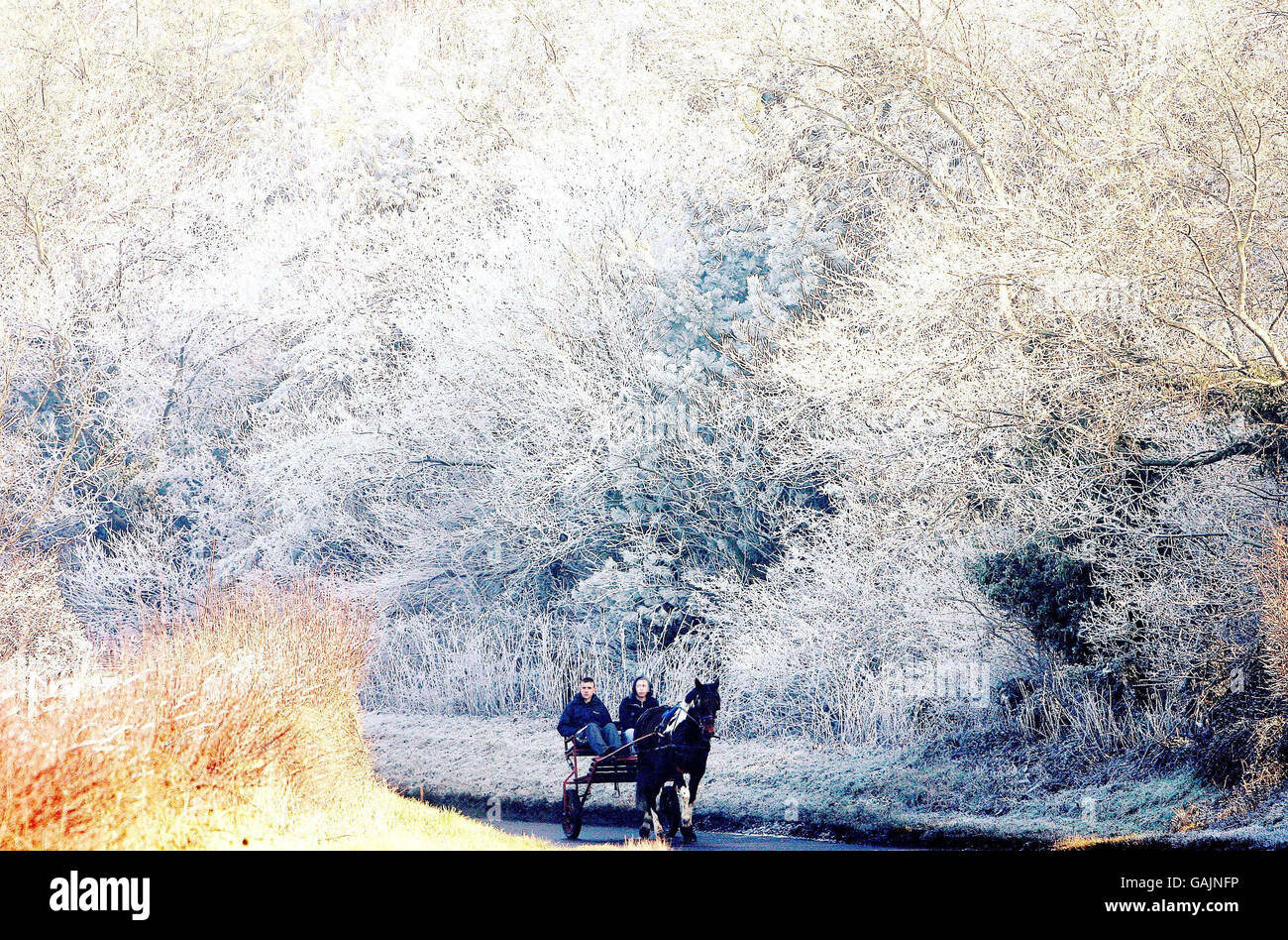 Cold weather in the UK Stock Photo Alamy