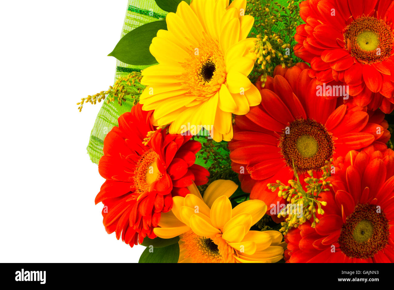 Red and yellow daisy flower bouquet isolated. Greeting background