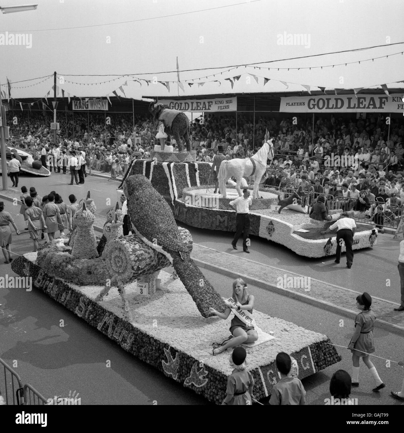 Customs and traditions battle of the flowers jersey hires stock