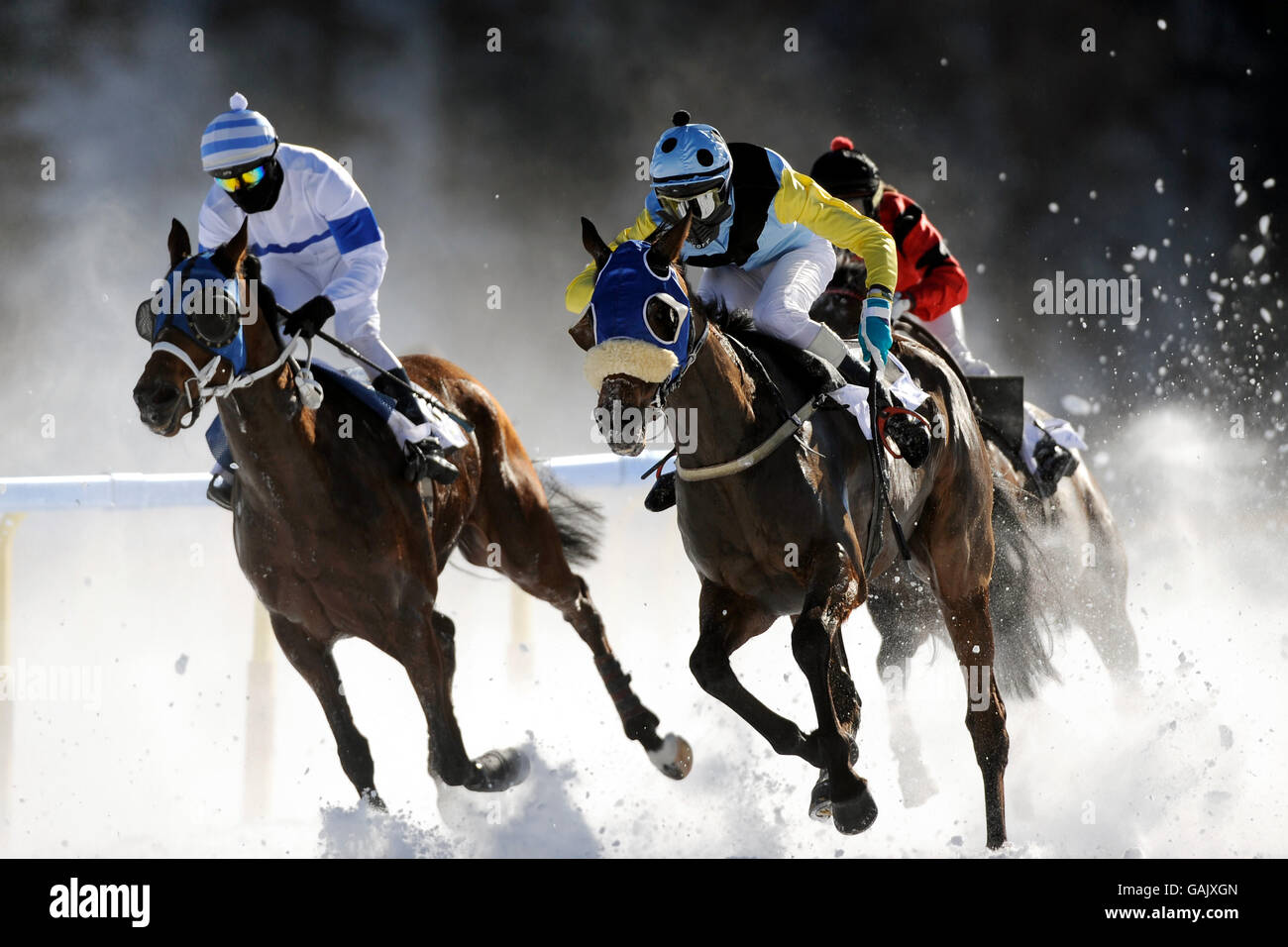 160 White Turf St Moritz 2013 Stock Photos, High-Res Pictures, and Images -  Getty Images