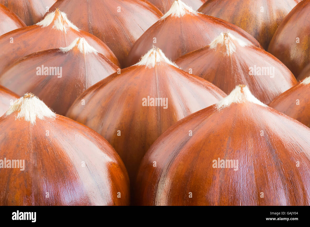 Close up of chestnuts. Stock Photo