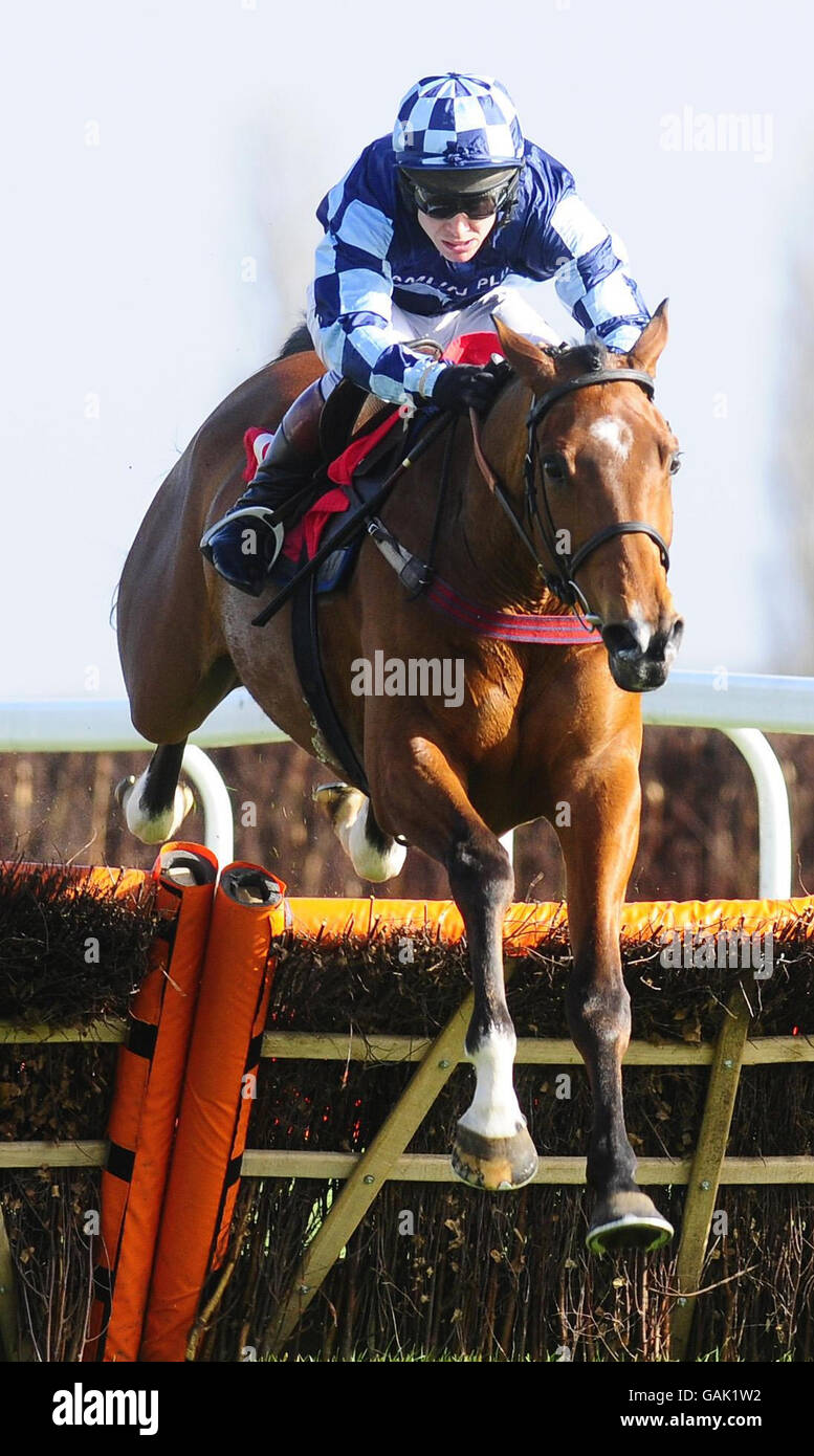 Cryptic and Richard Johnson ease to victory in The Connaught plc 'National Hunt' Novices' Hurdle at Newbury Racecourse. Stock Photo