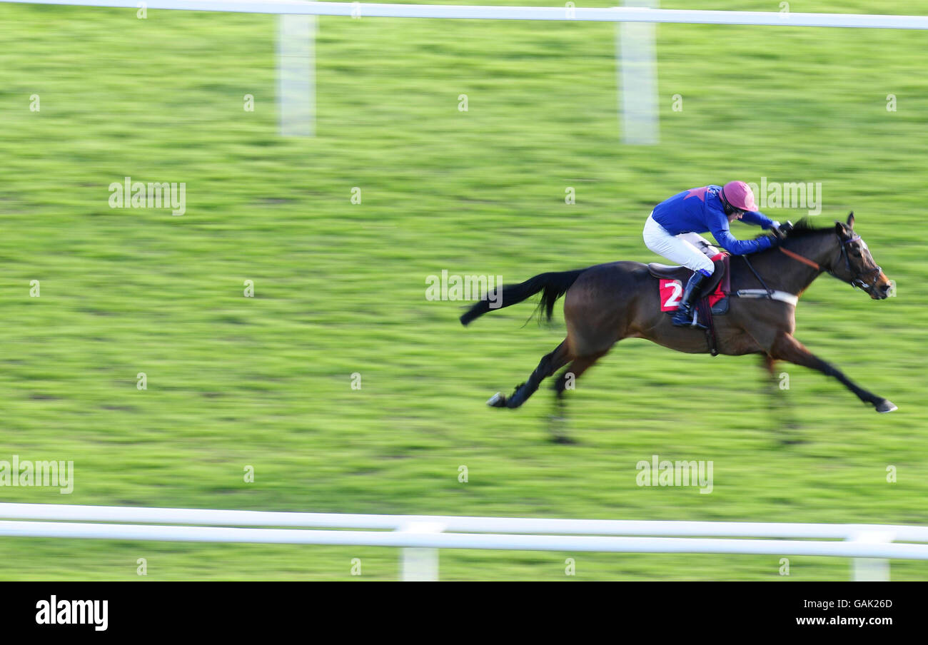 Horse Racing - Connaught Gold Cup Day - Newbury Racecourse. Trouble At Bay and jockey Charlie Huxley easily win The Connaught Compliance Hurdle at Newbury Racecourse. Stock Photo