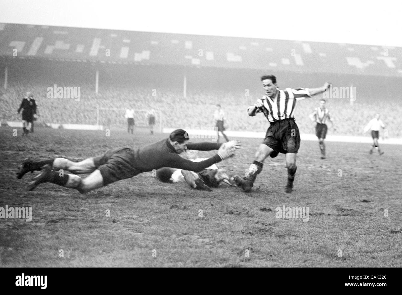 Soccer - Football League Division One - Tottenham Hotspur v Newcastle United Stock Photo