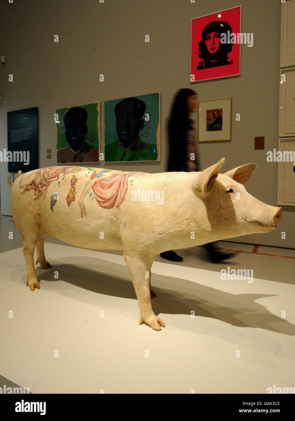 Miss Wing-Sie Chan, a Curatorial Intern at the Barbican Art Gallery in the City of London, passes the stuffed tattooed Pig by Wim Delvoye, an exhibit in the Martian Museum of Terrestial Art Exhibition. Stock Photo