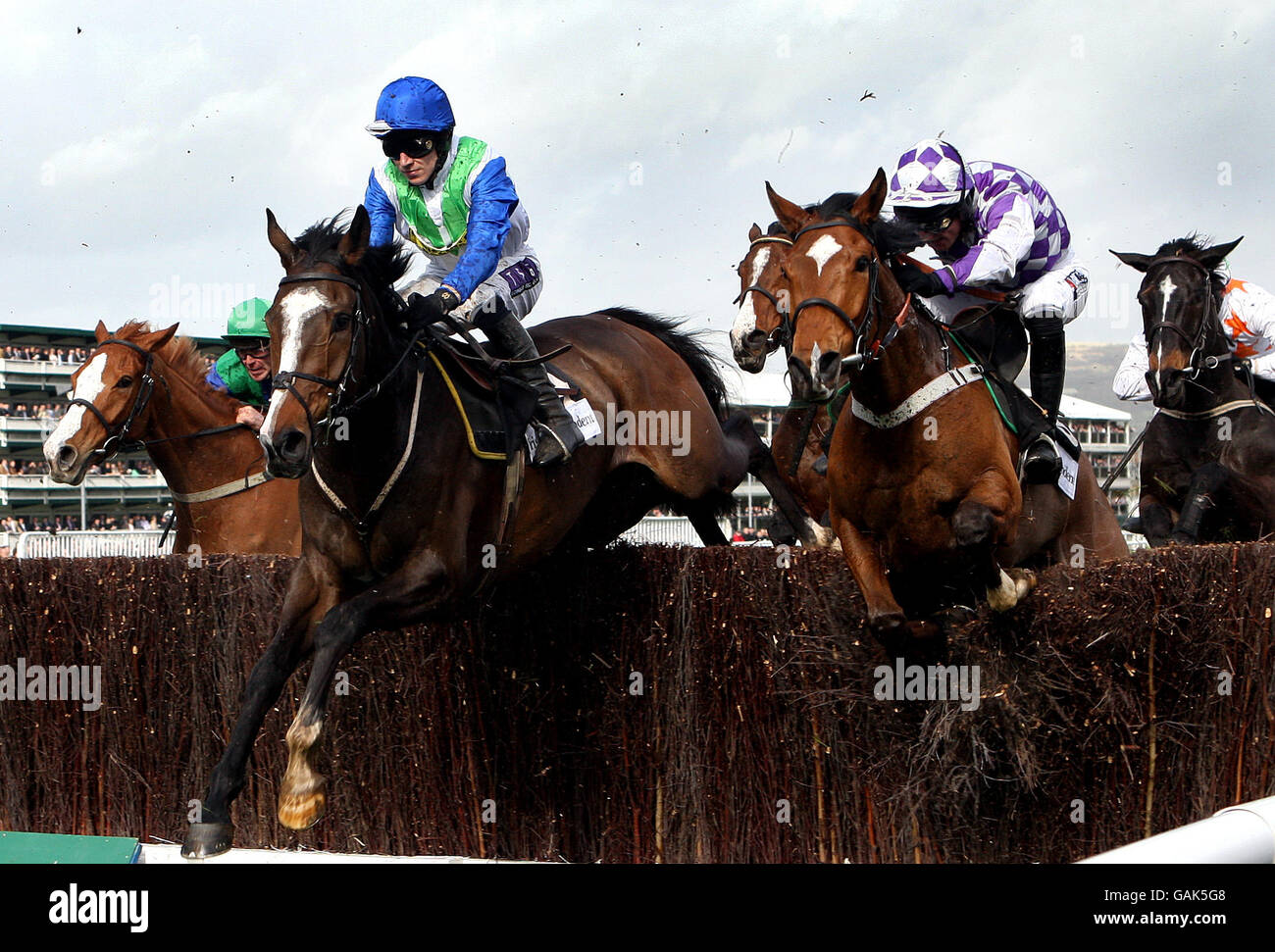 Horse Racing - Cheltenham Festival - Day One - Cheltenham Racecourse ...