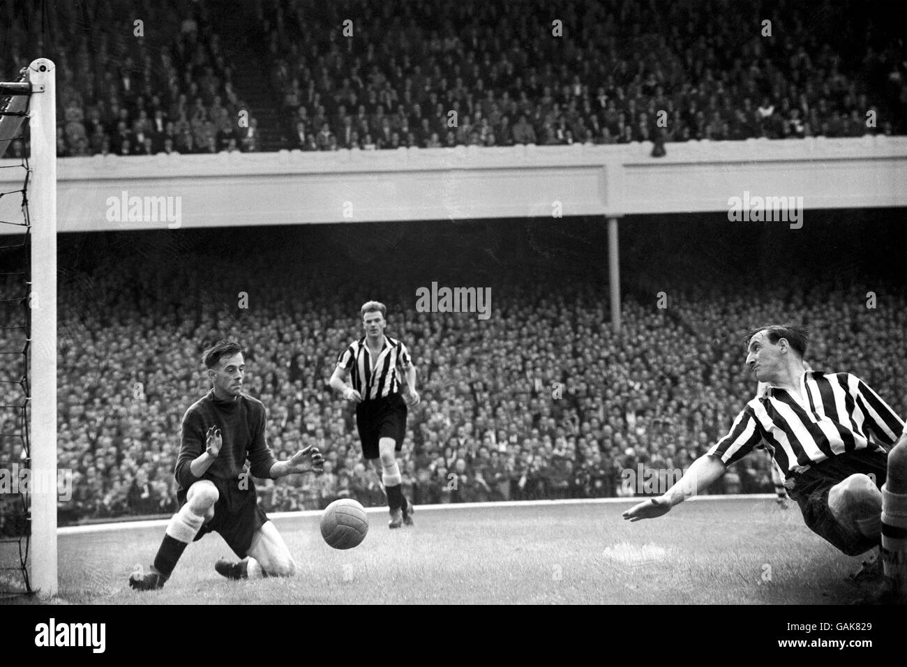 Newcastle United's Alf McMichael (c) and Frank Brennan (r) look on as goalkeeper Ronnie Simpson (l) makes a save at his near post Stock Photo