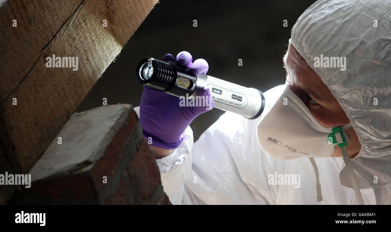 Child remains discovered at former home Stock Photo