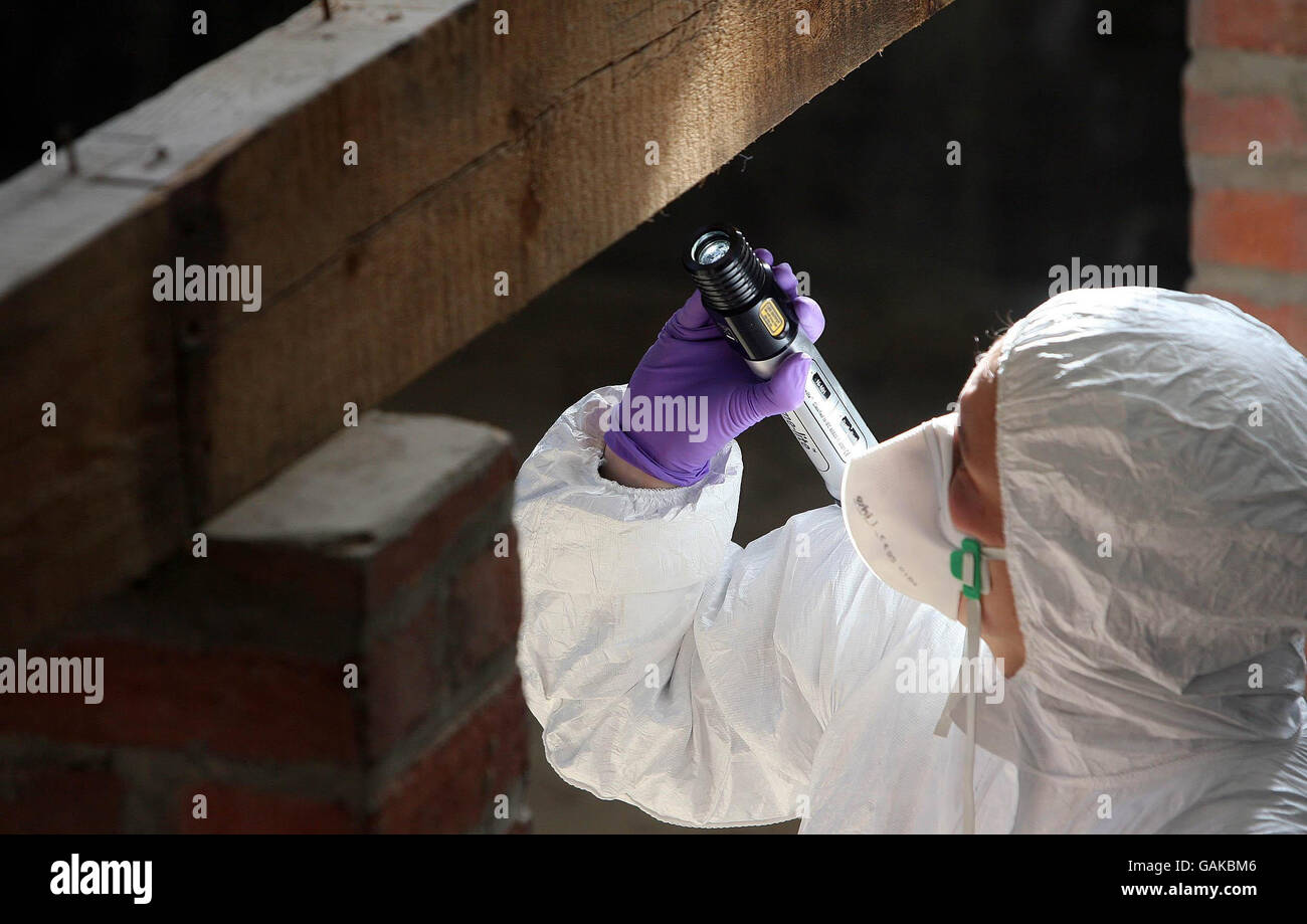 Child remains discovered at former home Stock Photo