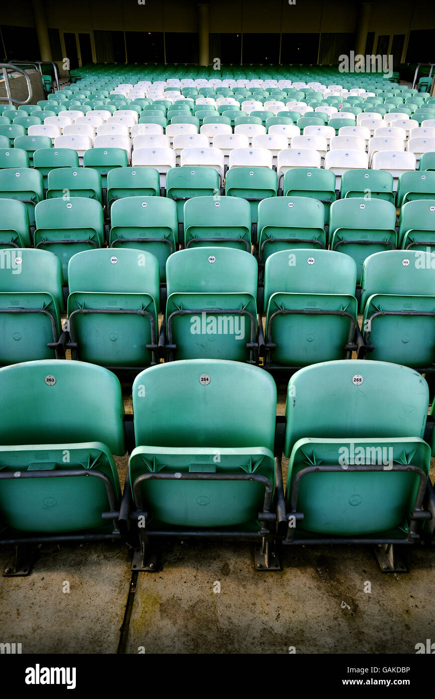 Cricket Surrey County Cricket Club The Brit Oval Stock Photo Alamy