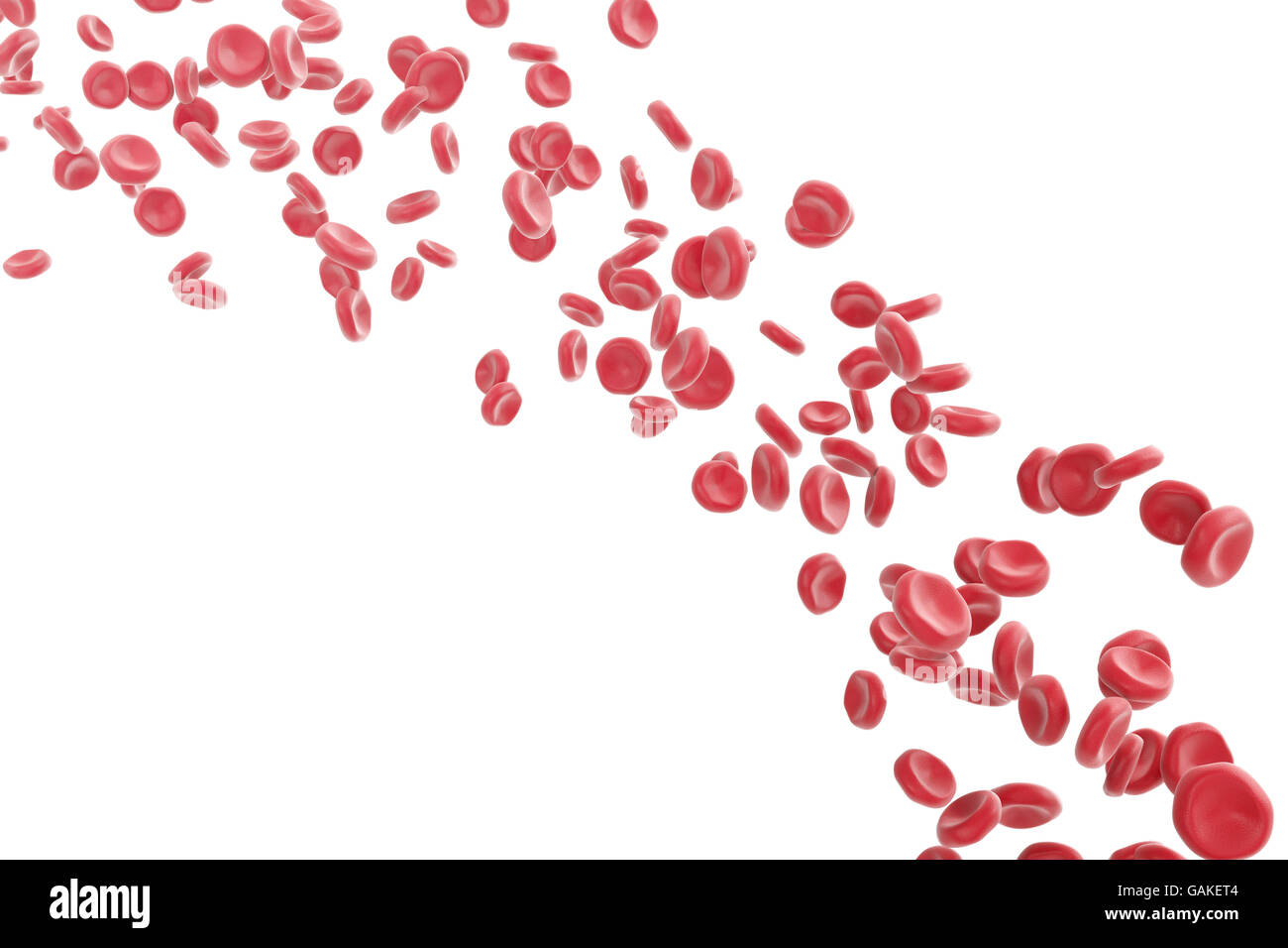 Red blood cells isolated on white. 3d illustration high quality Stock Photo