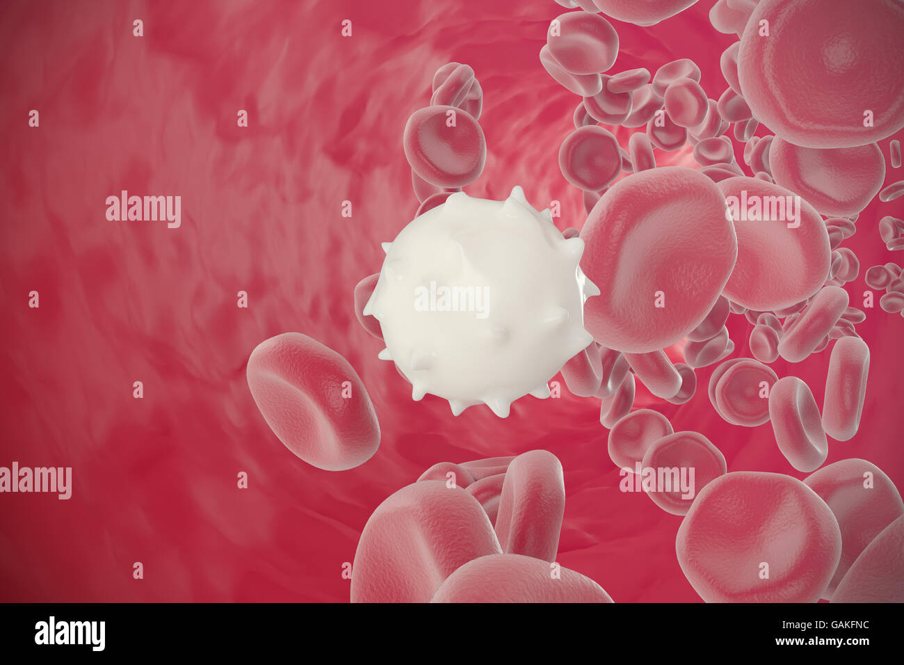Red and white blood cells moving in vessels. 3d illustration Stock ...