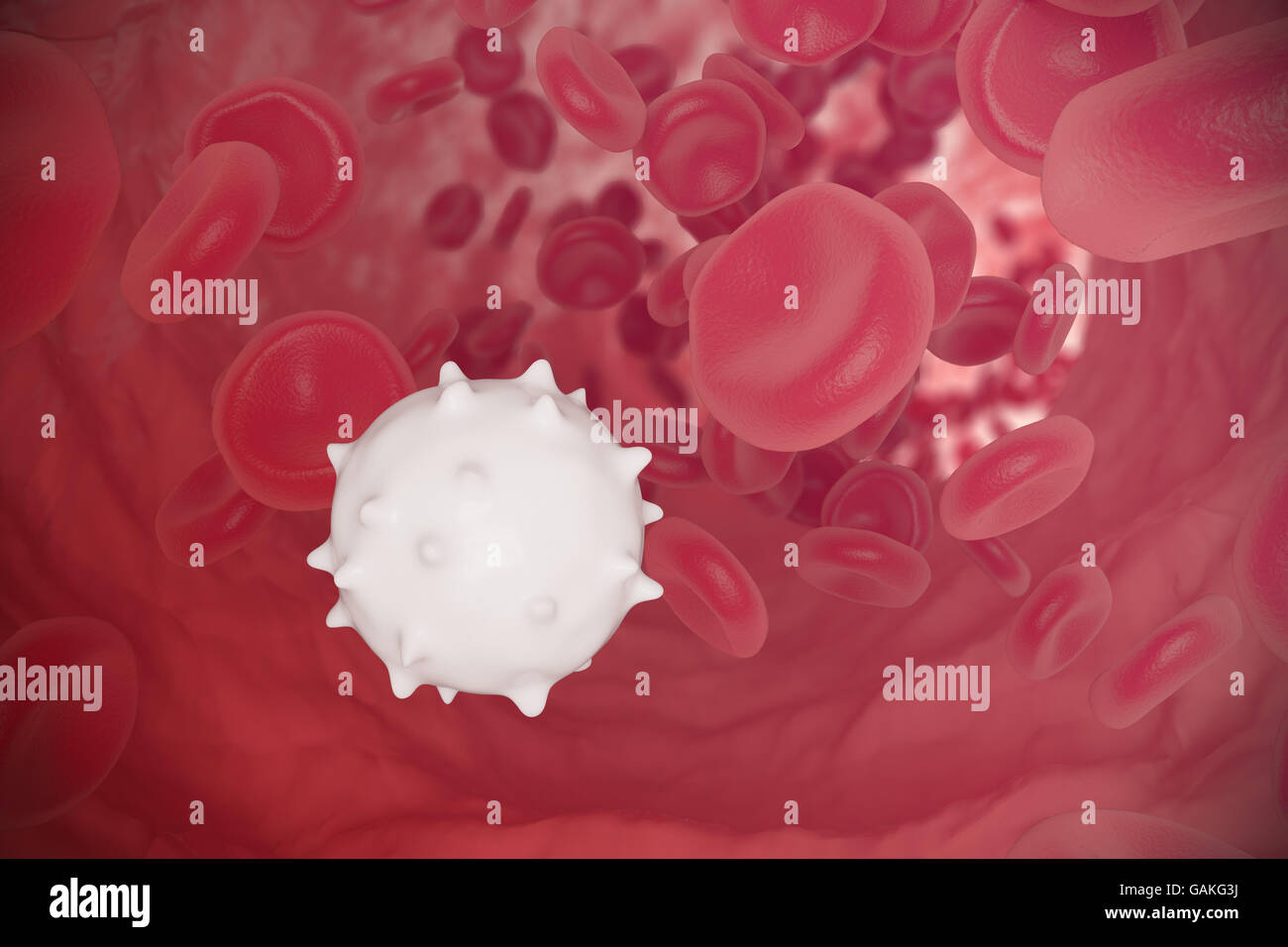 Red and white blood cells flowing through veins. Scientific  medical concept. 3d illustration Stock Photo