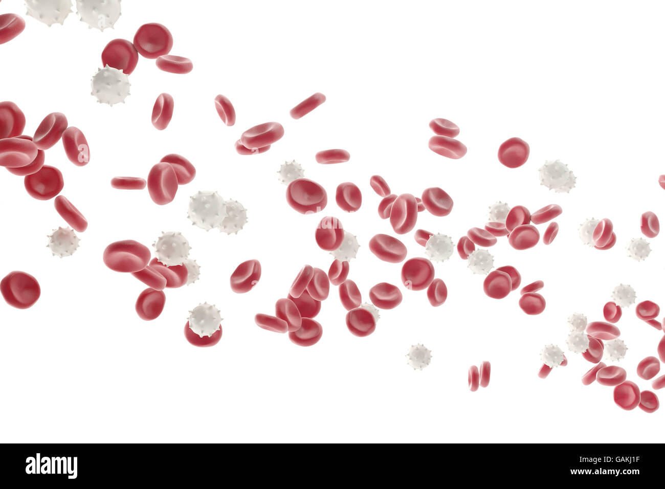 Red and white blood cells isolated on  background. Medical concept. 3d illustration Stock Photo