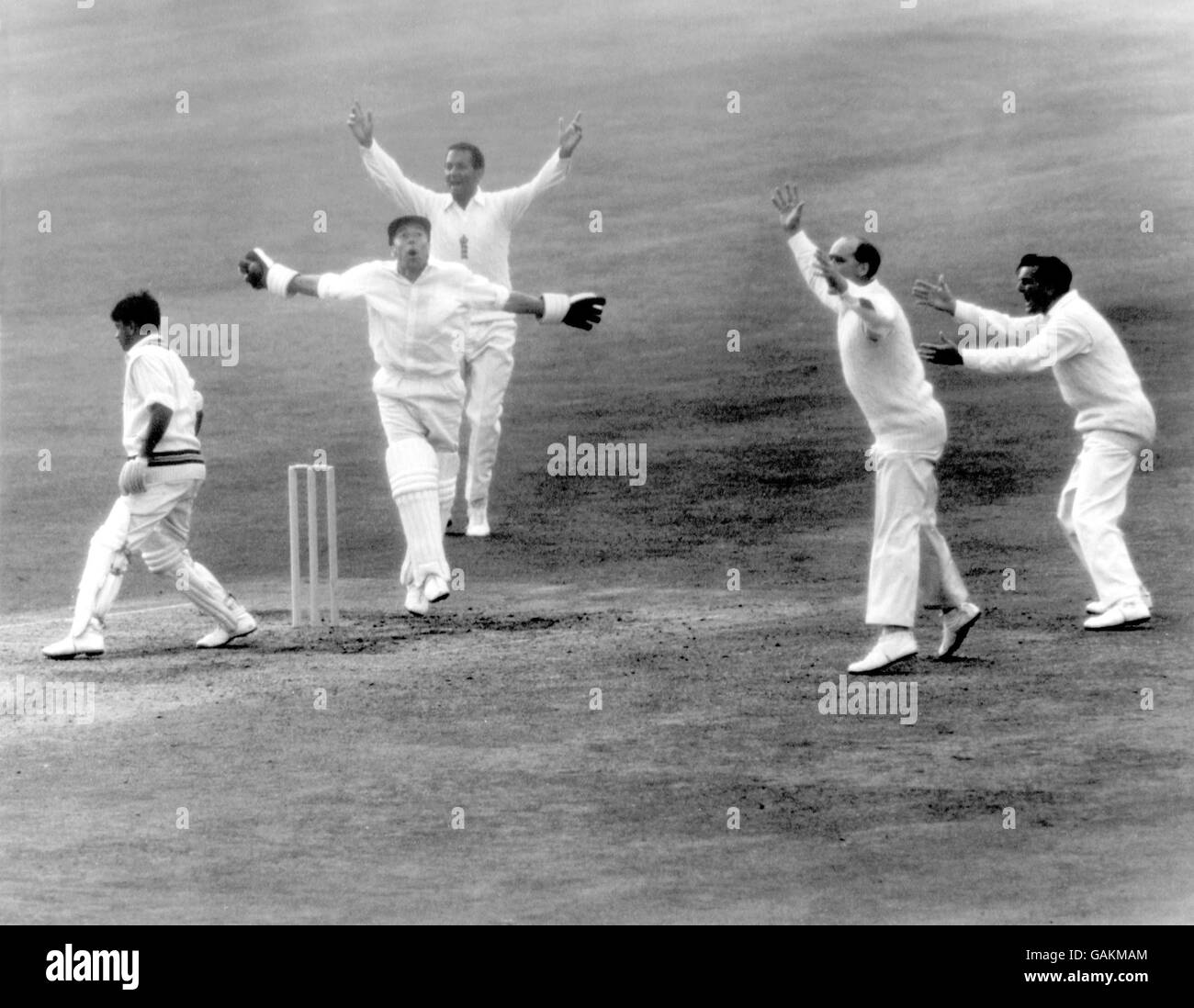 (L-R) India's Erapalli Prasanna is caught behind by England wicketkeeper John Murray, to the obvious delight of England's Basil D'Oliveira, Brian Close and Tom Graveney Stock Photo