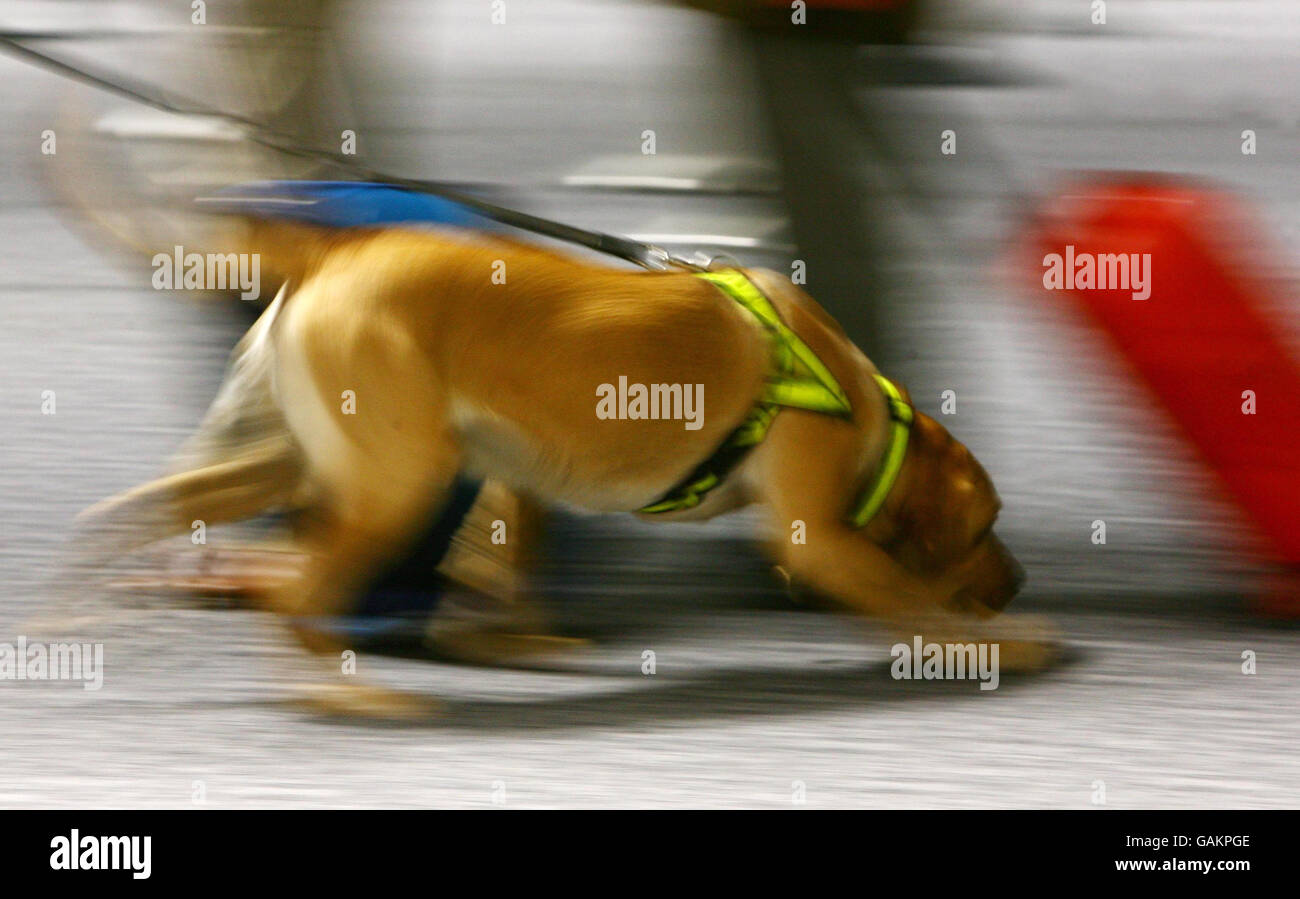 Uk Borders Agency Ukba High Resolution Stock Photography and Images - Alamy