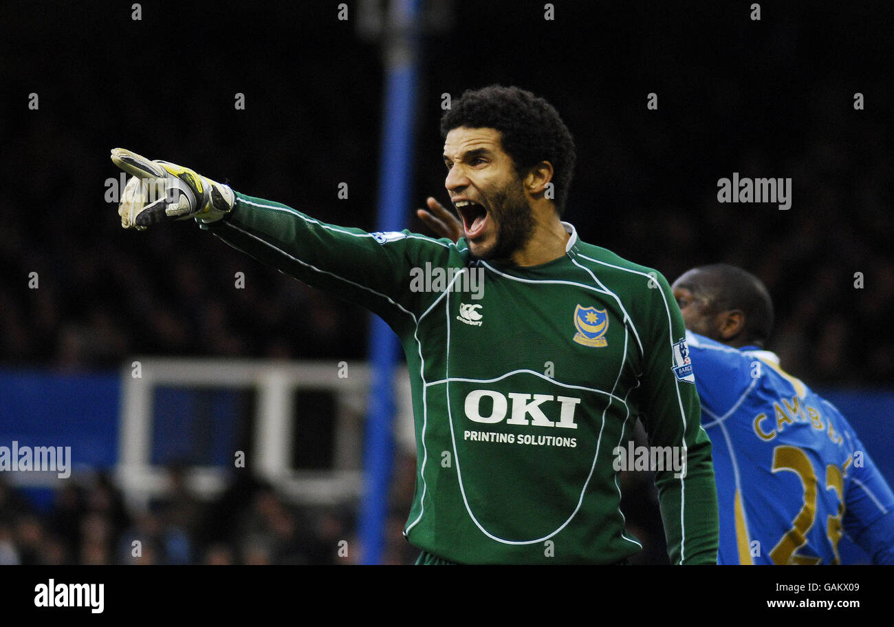 Portsmouth's goal keeper David James during the Barclay's Premier League match at Fratton Park, Portsmouth. Stock Photo