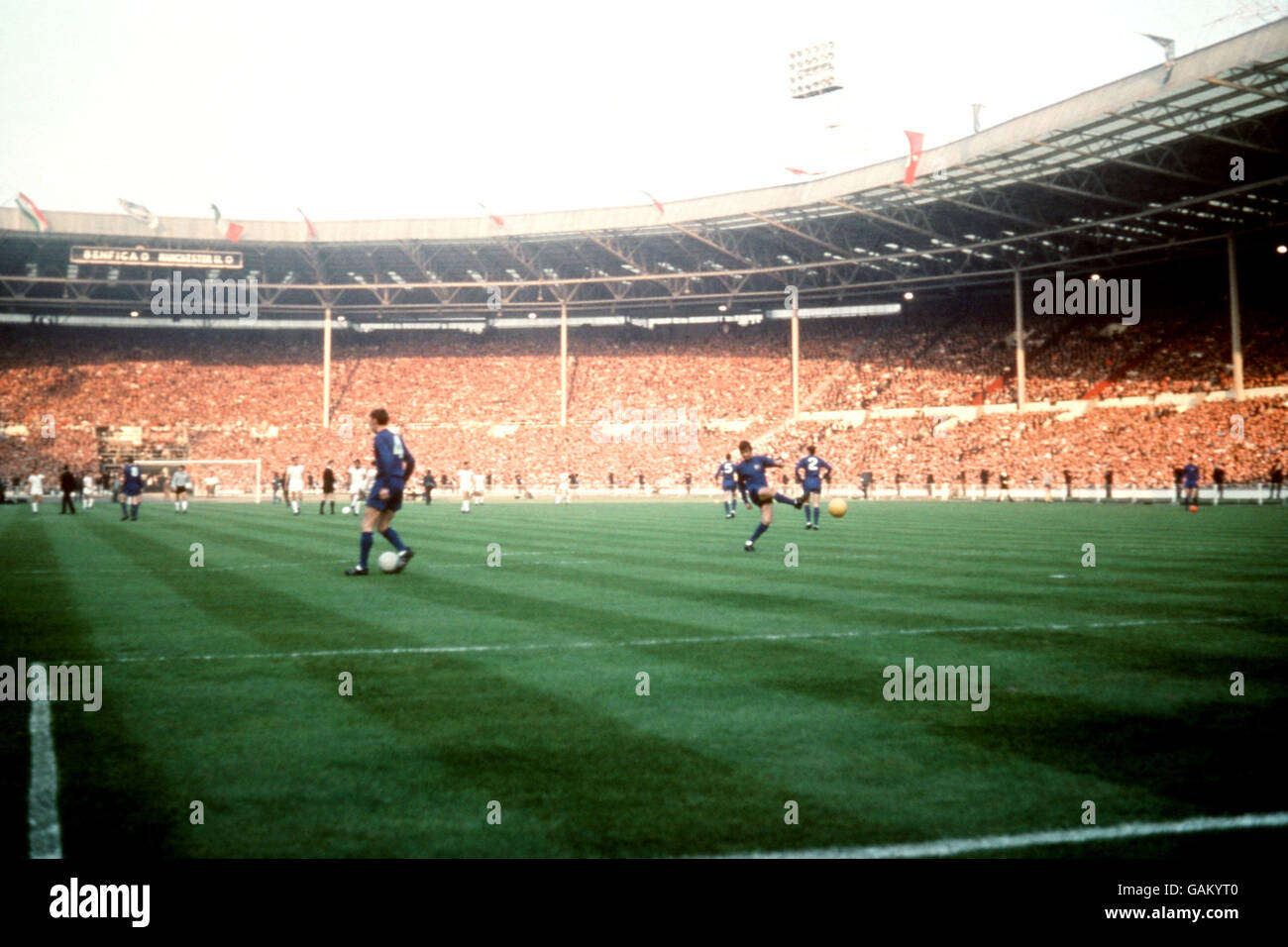 Soccer European Cup Final Manchester United v Benfica. The two