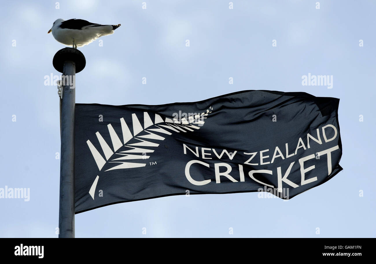 Cricket 2nd Test Day Two England v New Zealand Wellington. New