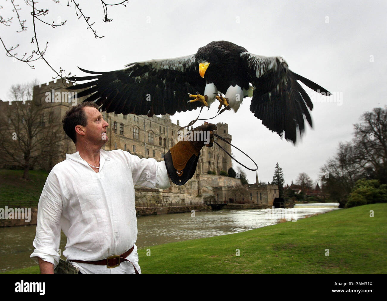 Chris O'Donnell flies his Stellar Sea Eagle 'Nikita' at Warwick Castle  Stock Photo - Alamy