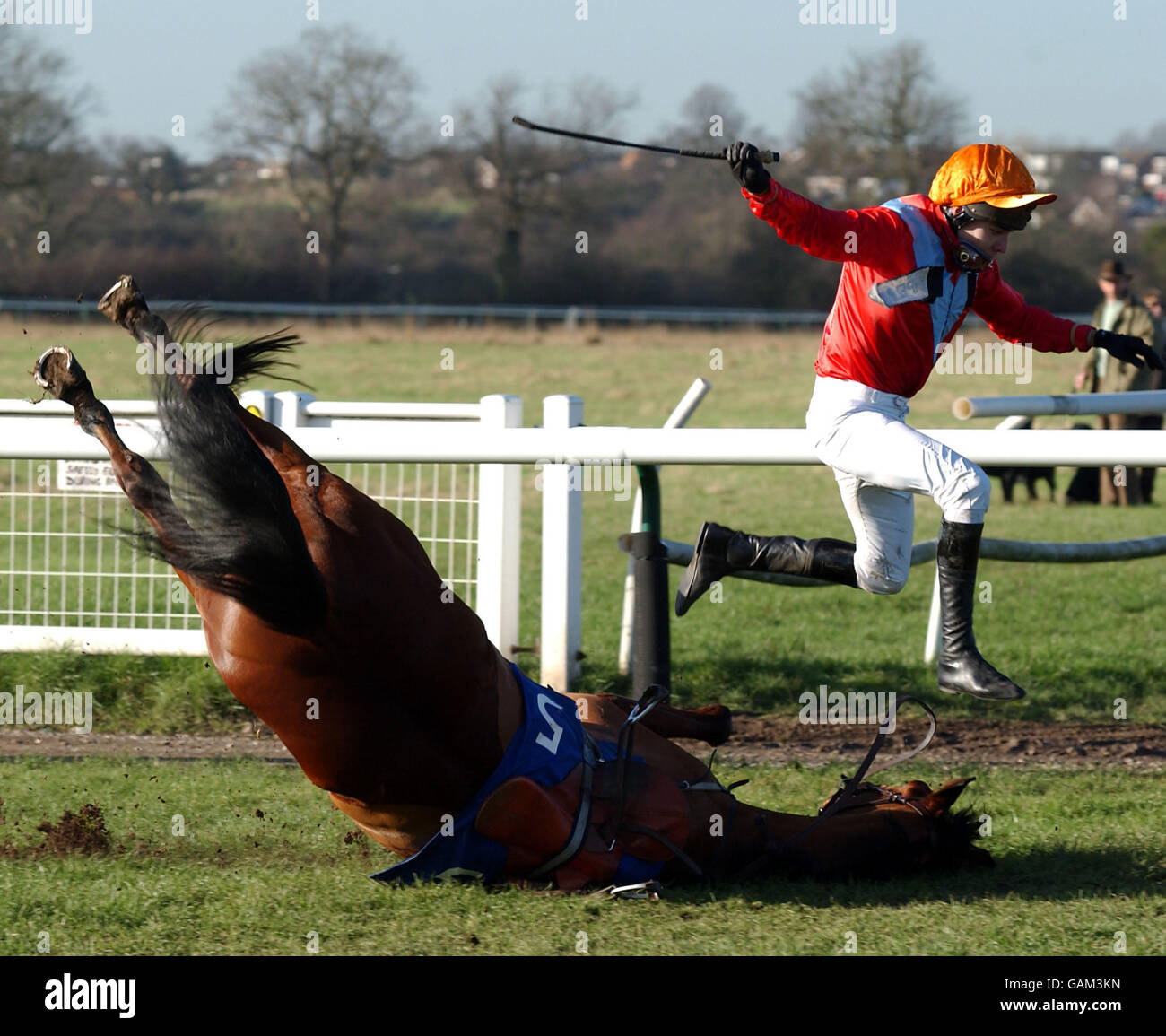 Jockey Tom Scudamore is thrown off his mount, Mark Equal, in the Ray Cooper Memorial Novices' Steeple Chase Stock Photo