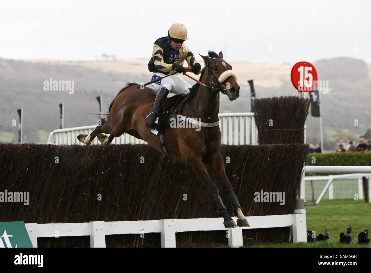 Tidal bay arkle horse hi-res stock photography and images - Alamy