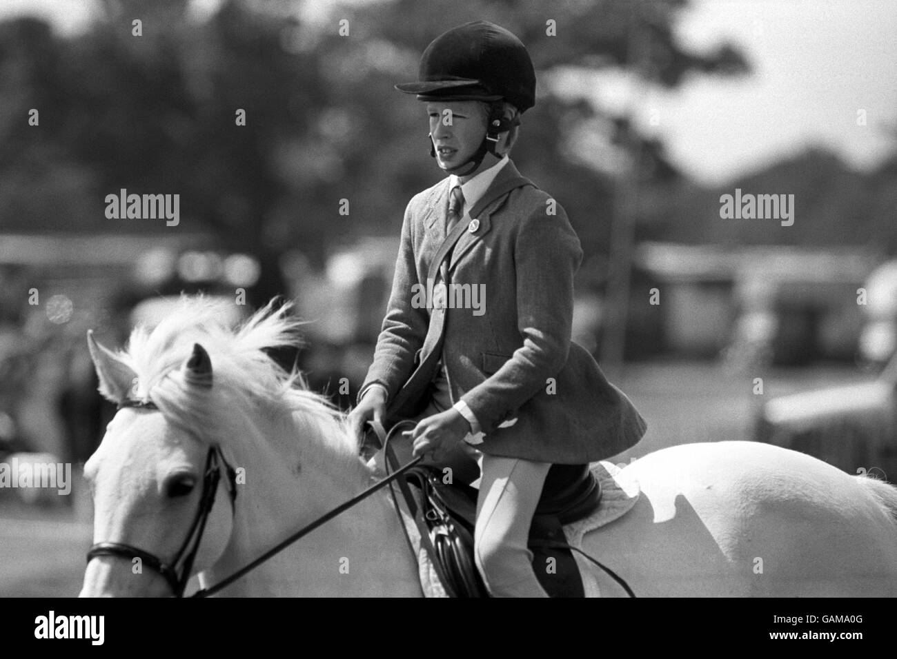 Peter Phillips rides the pony express at the Windsor horse trials. He and  his sister, Zara, acted as messengers for the judges and organisers. Their  mother, the Princess Royal was at the
