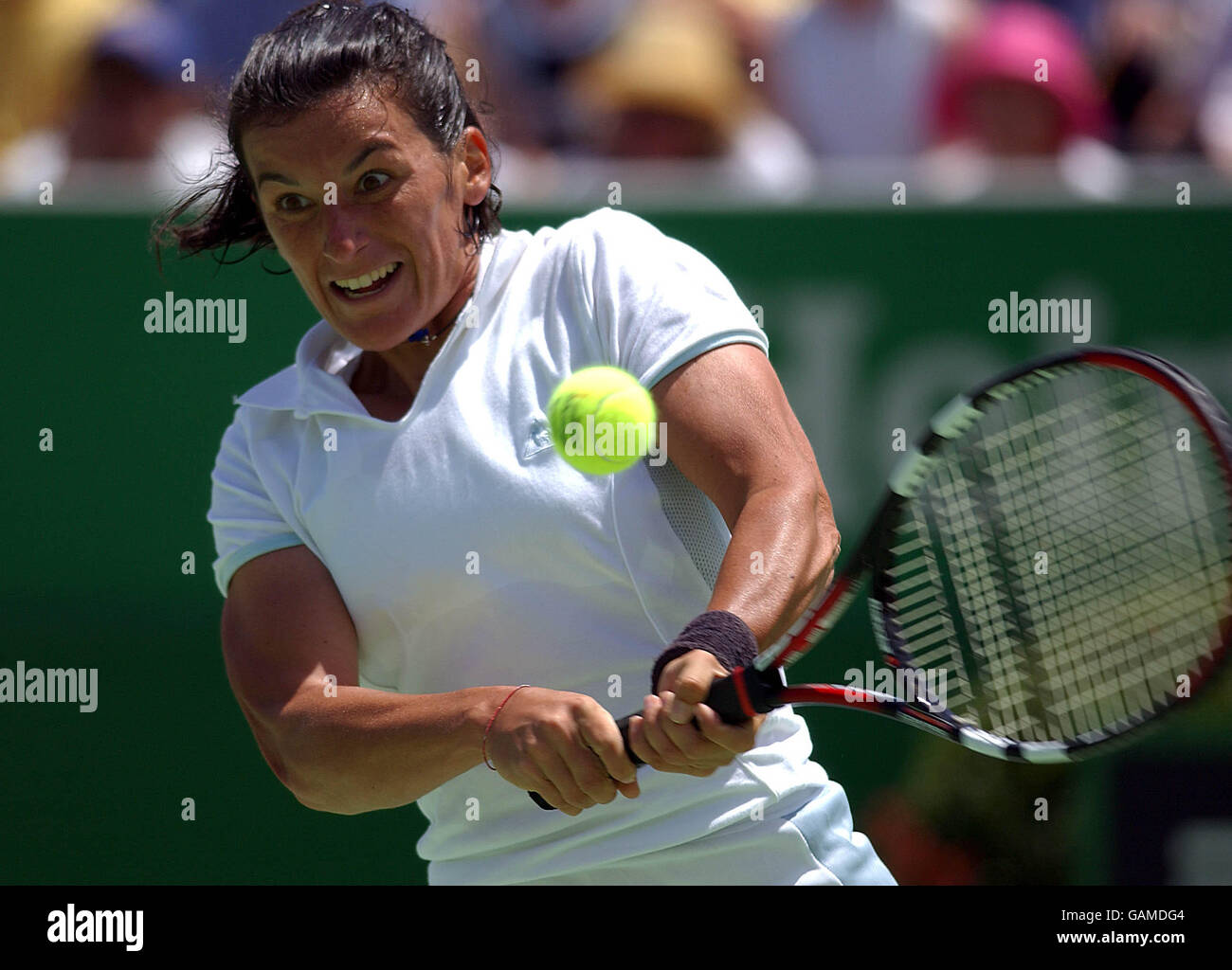 Tennis - Australian Open - Day Three.. Adriana Serra Zanetti (ITA) returns against Daniela Hantuchova (SVK). Stock Photo