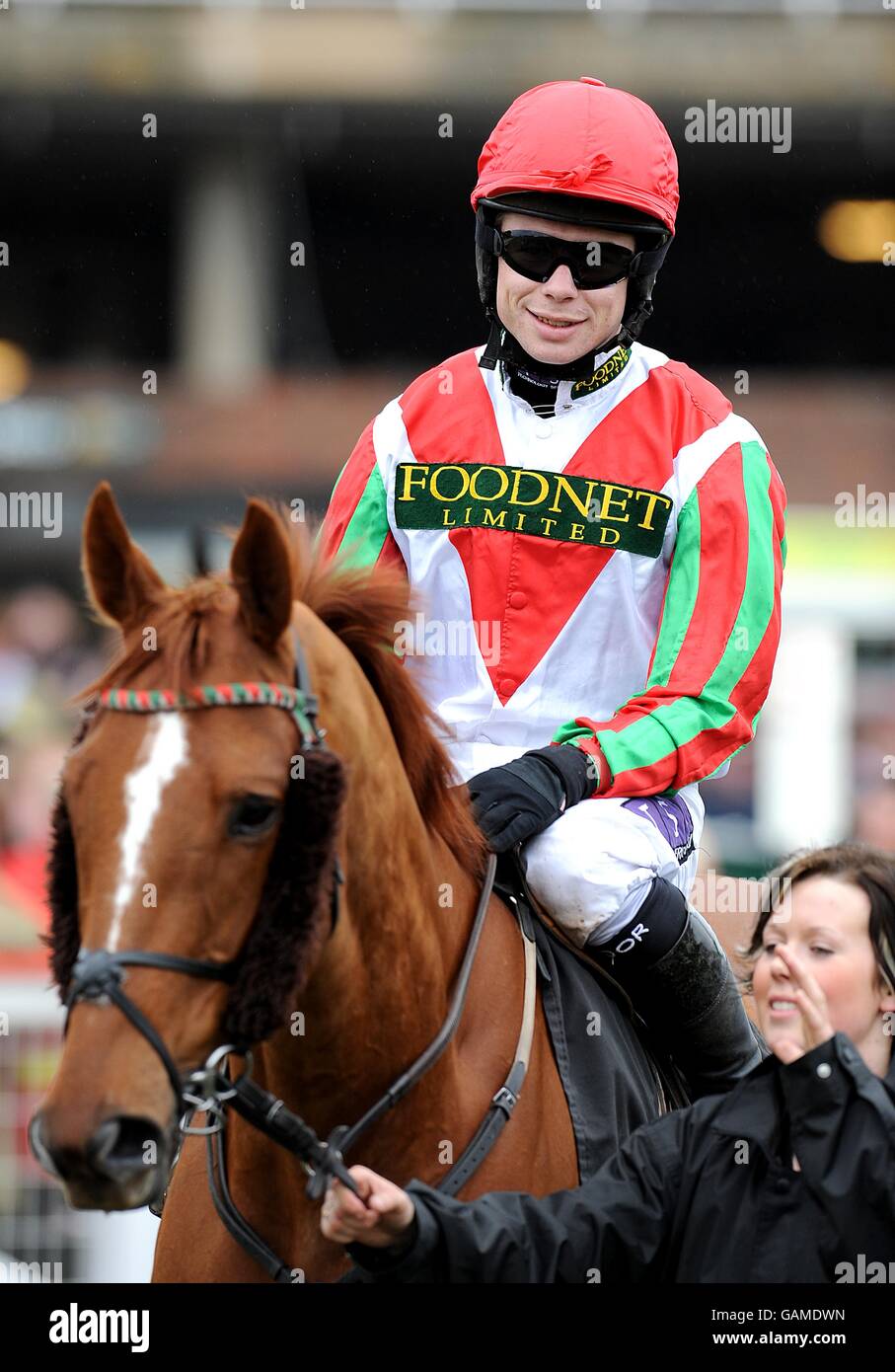 Iron Man ridden by Denis O'Regan going to post in the totesport Cheltenham Gold Cup Chase during the Cheltenham Festival Stock Photo