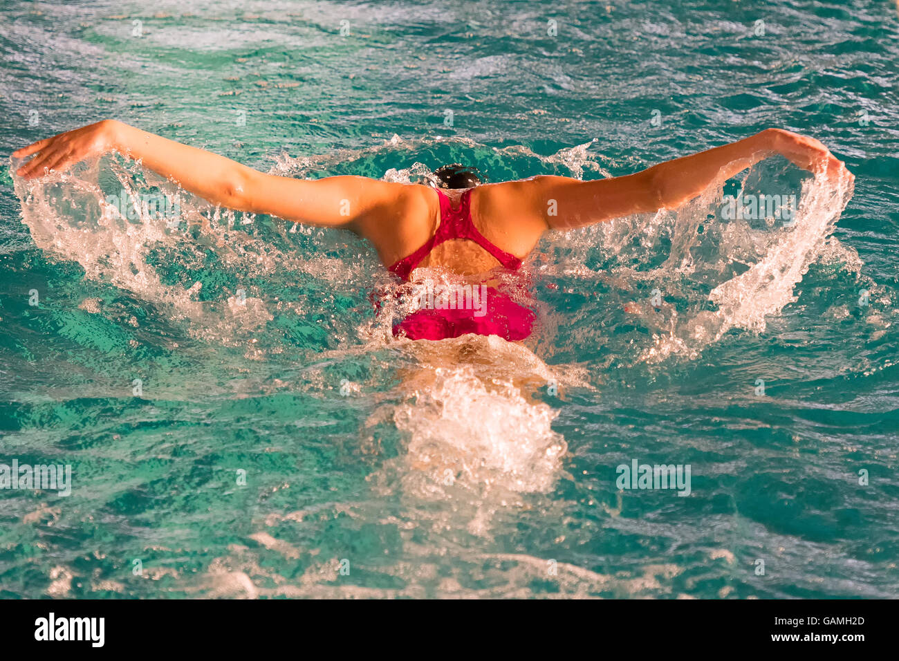 Athlete on a pool swimming the butterfly swimming technique. Stock Photo