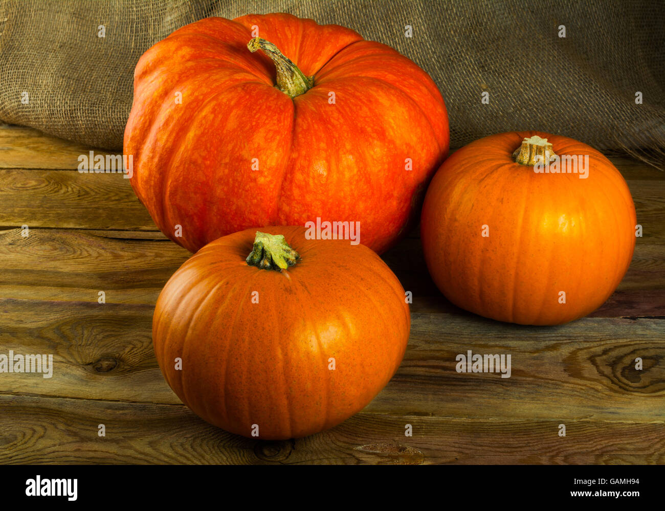 Pumpkins on a dark wooden background. Pumpkins. Thanksgiving Day. Halloween. Vegetables Stock Photo