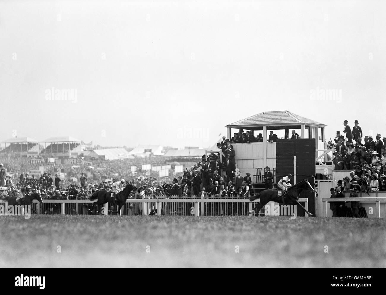 Sport horse racing hires stock photography and images Alamy