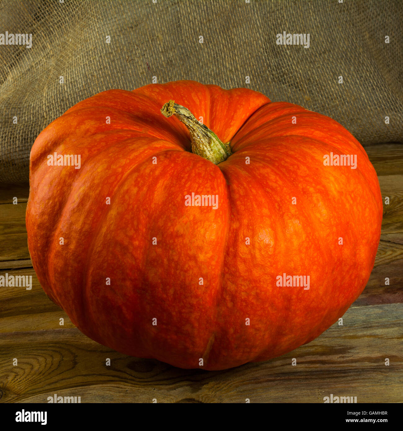 Ripe pumpkin on rustic wooden background. Pumpkins. Thanksgiving Day. Halloween. Vegetables Stock Photo