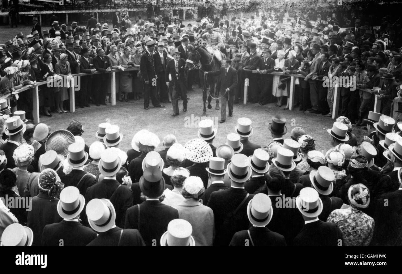 The winner, 'Hard Ridden', Charlie Smirke up, is led into the winners enclosure by his owner Sir Victor Sassoon. Stock Photo