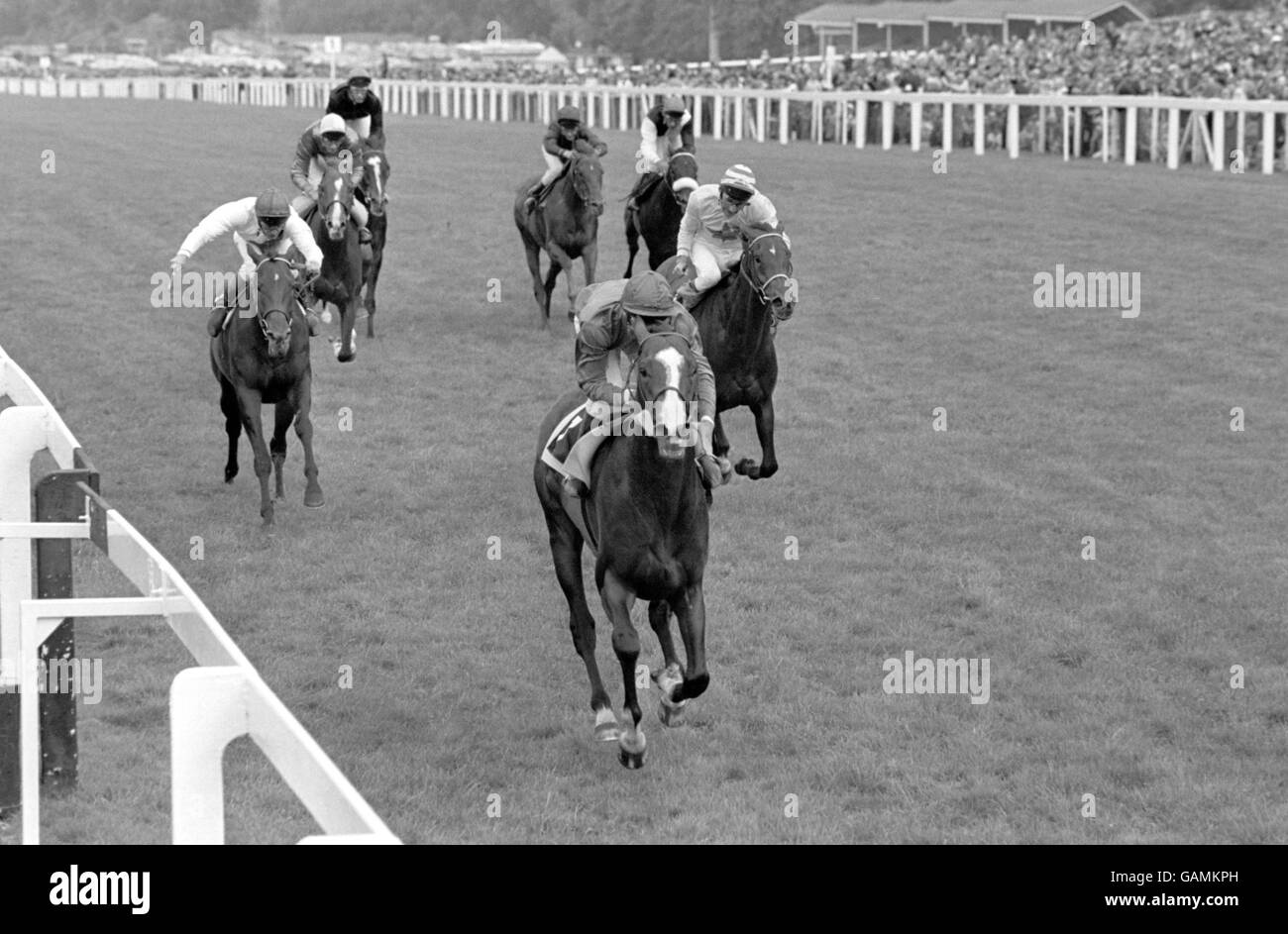 Horse Racing - The King George and Queen Elizabeth Diamond Stakes - Ascot Stock Photo