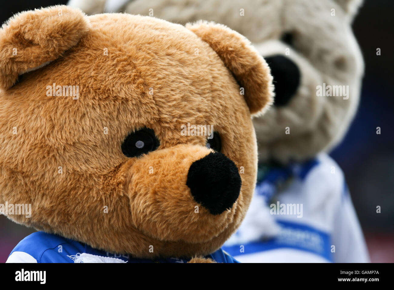 Stockport county mascot hires stock photography and images Alamy