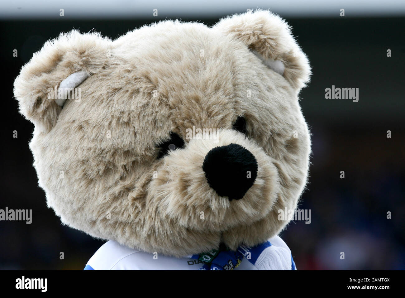Stockport county mascot hires stock photography and images Alamy
