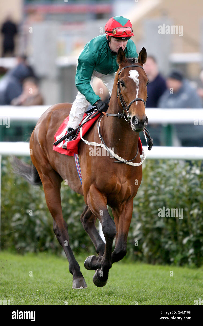Horse Racing Doncaster Racecourse. Dnata Flyer ridden by Joe Fanning