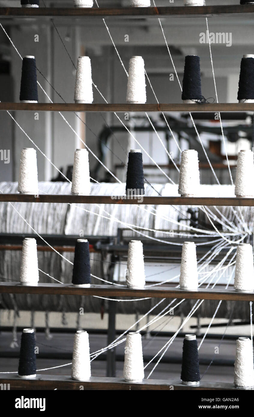 Станок ткацкий мт-2м 1991. Ремизный ткацкий станок эшфорд. Нитки для ткацких станков. Пелси ткацкий станок. Катушка для нитей ткацкого станка.