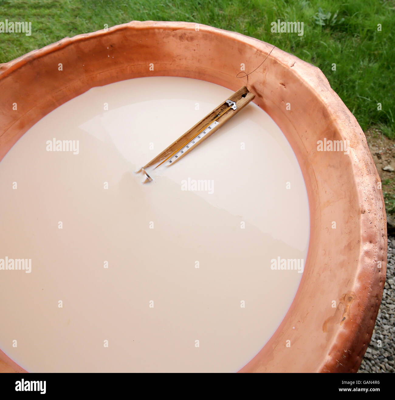 Pot plant with thermometer hi-res stock photography and images - Alamy