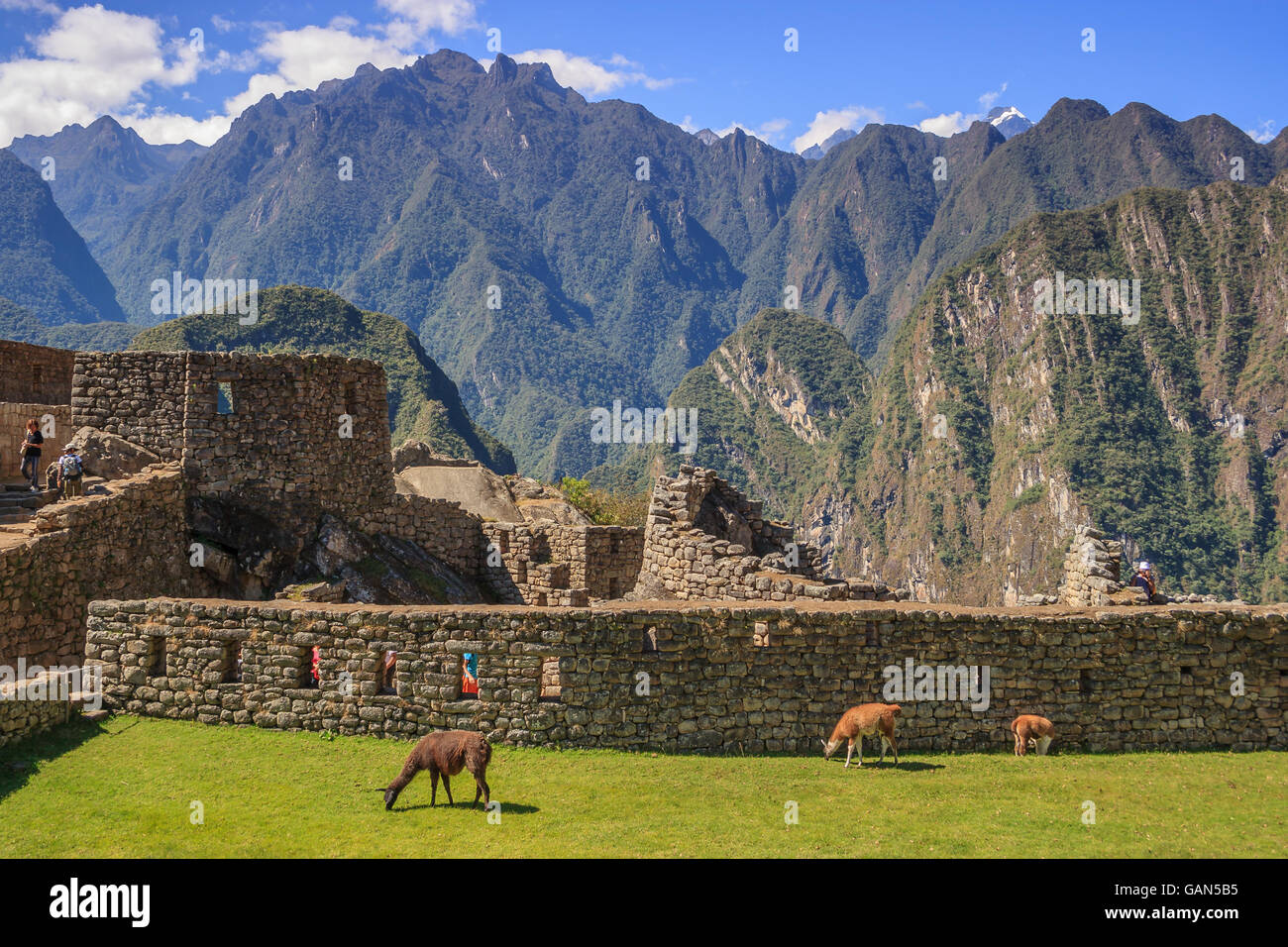 Macchu picchu ruins and andes mountains hi-res stock photography and ...