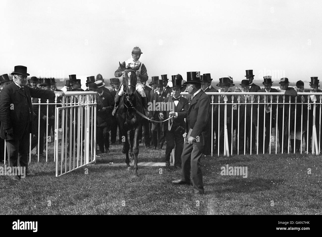 'Bayardo', with Danny Maher up, being led into the winners enclosure after winning the Gold Cup by four lengths. Stock Photo