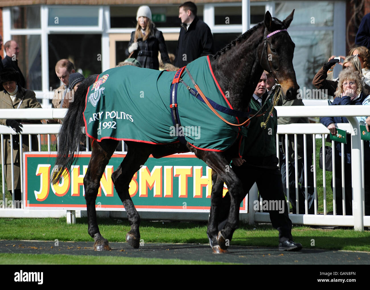 Party Politics, winner of the 1992 Grand National, in the parade ring prior to the day's racing during the 2008 John Smith's Grand National Meeting. Stock Photo