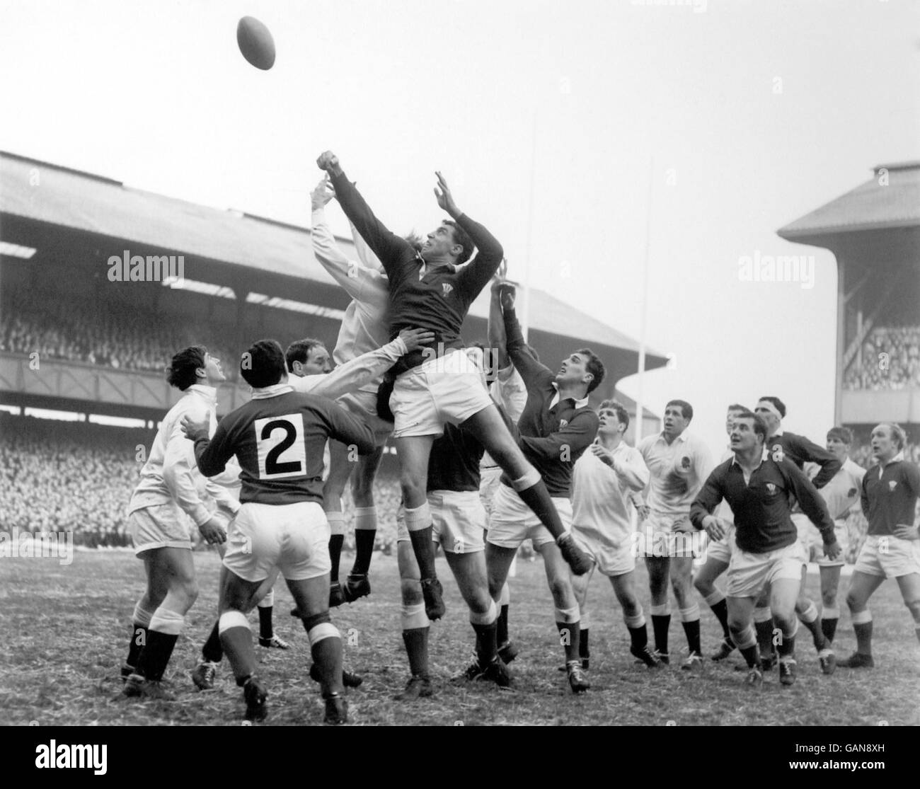 Mike Rayer of Wales in action against Scotland during a Five Nations... News Photo - Getty Images