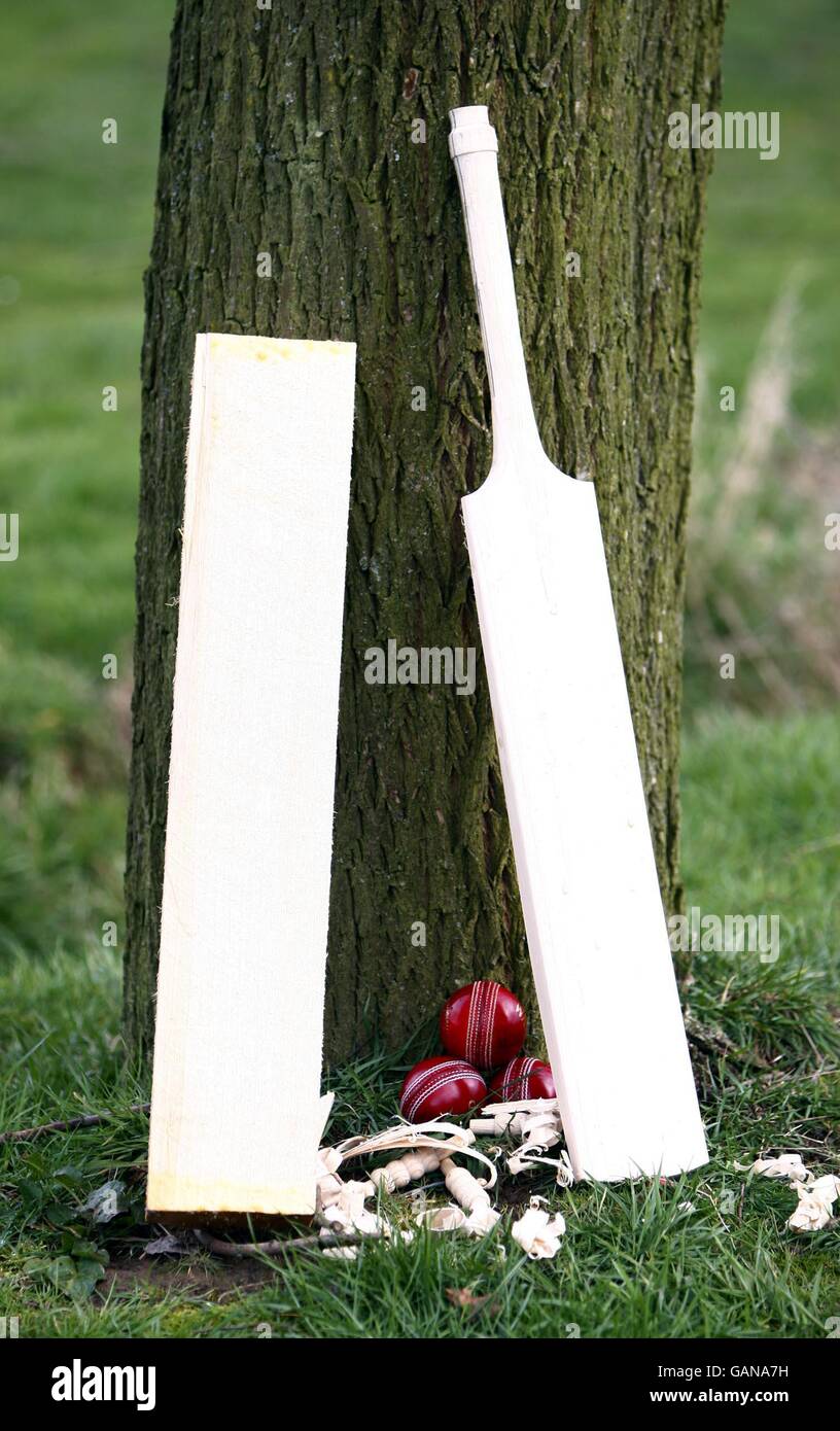 Cricket Handmade Cricket Bats Essex High Resolution Stock Photography