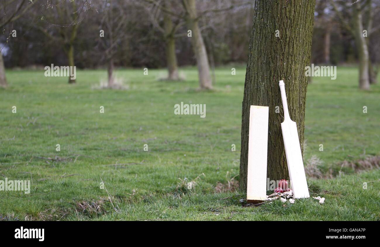 Handmade cricket bats warsop stebbing hires stock photography and