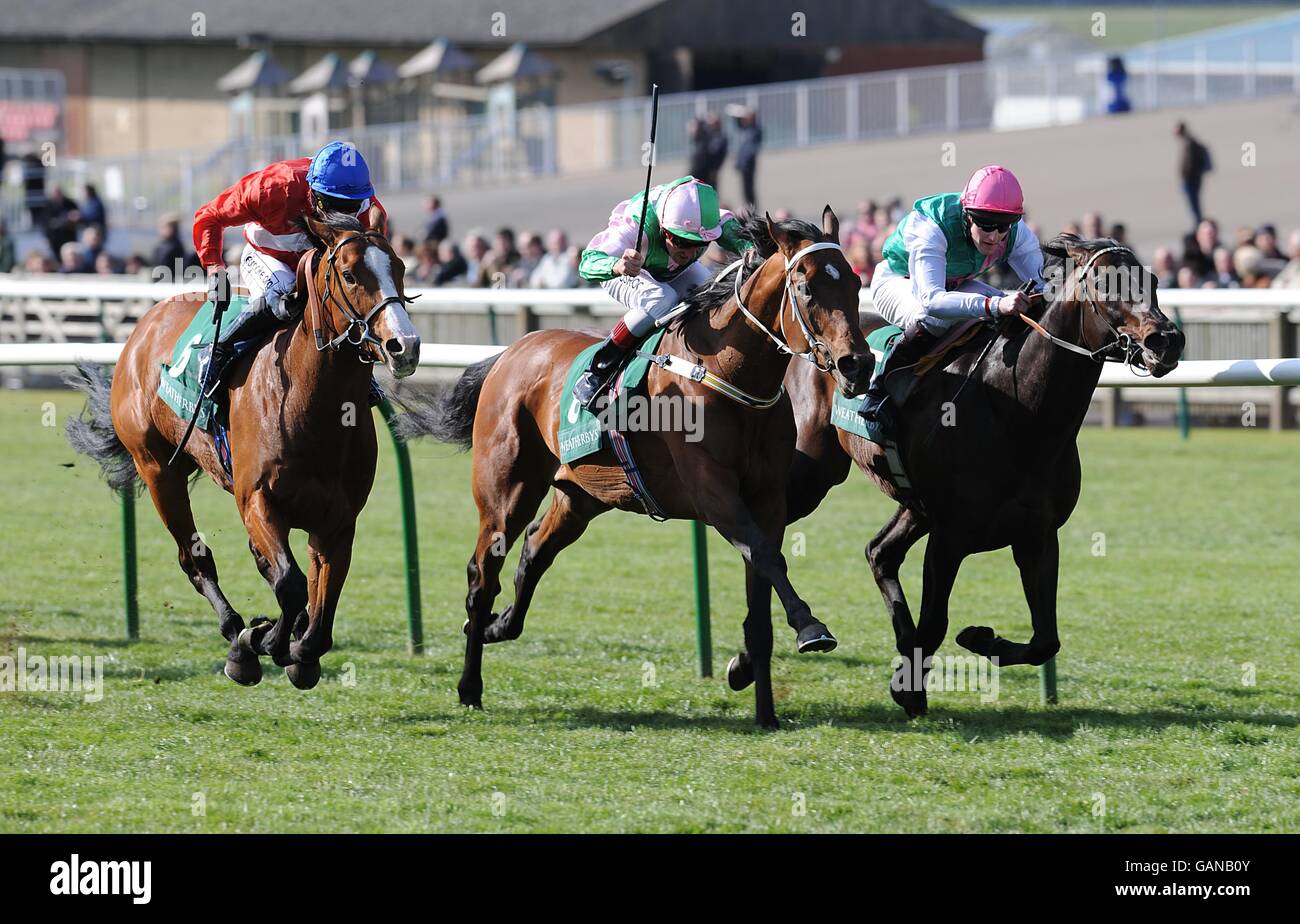 Phoenix Tower ridden by Tom Queally (far right), Traffic Guard ridden by John Egan (center) and Pipedreamer ridden by Jimmy Fortune on their way to the finishing post in the Weatherbys Earl Of Sefton Stakes (Group 3) Stock Photo